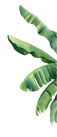 Banana Leaves Right